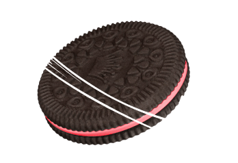 biscuit2